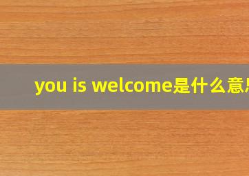 you is welcome是什么意思